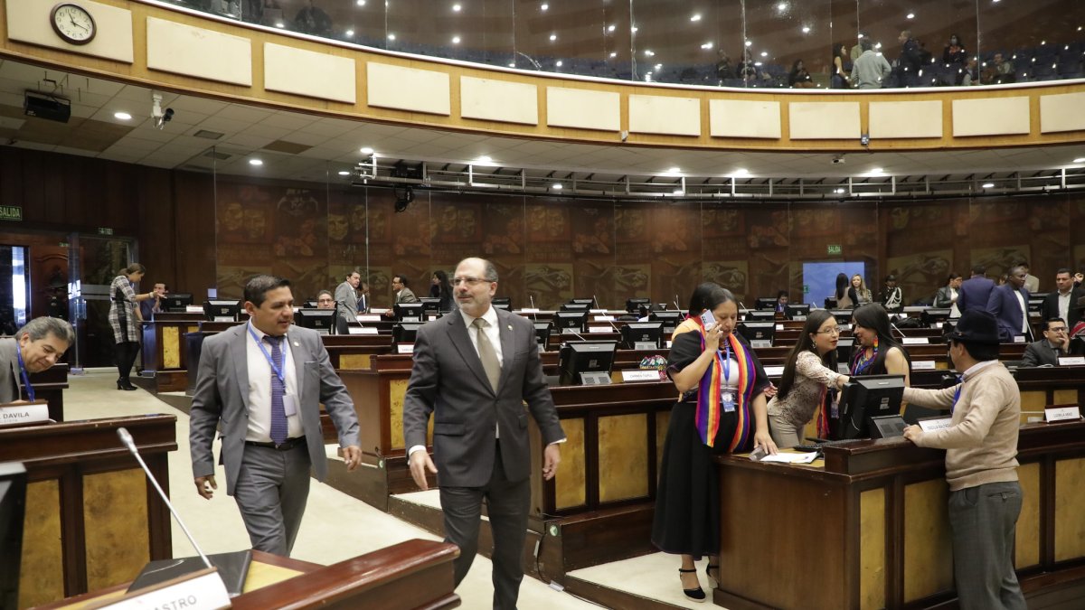 El presidente Henry Kronfle explicó que la asambleísta Garzón subsanó su petición.