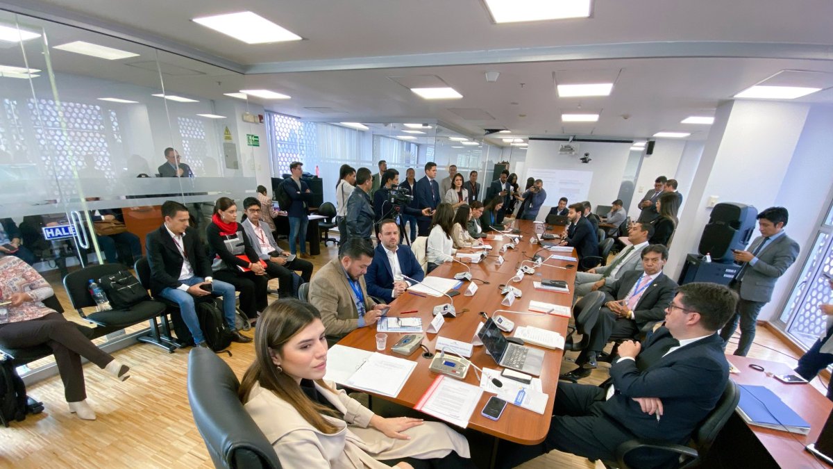 La legisladora oficialista, Valentino Centeno (c), preside la mesa de Desarrollo Económico.