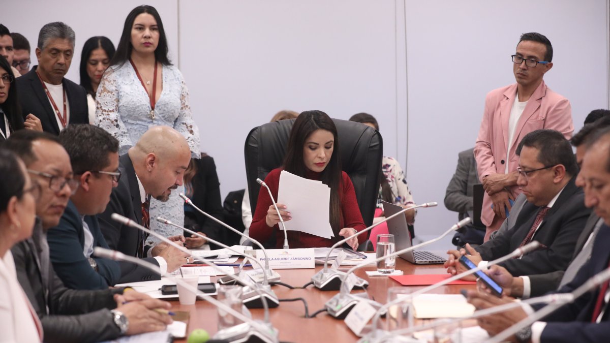 La asambleísta del correísmo, Pamela Aguirre, presidenta la mesa de Fiscalización.