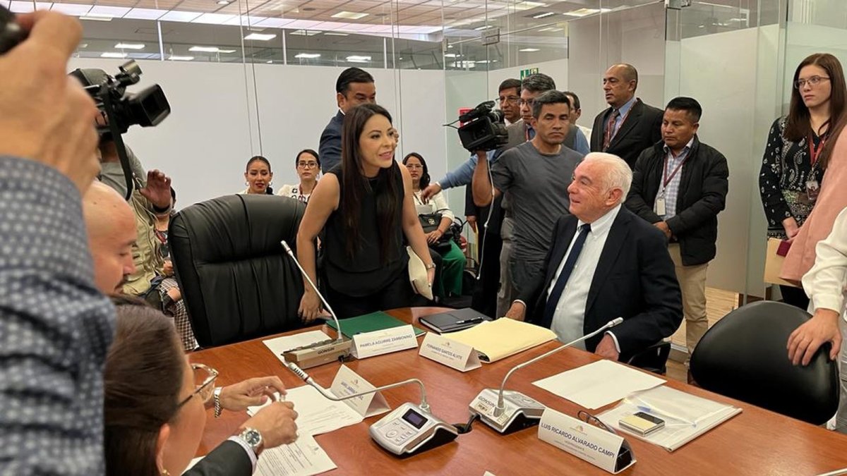 La correísta Palma Aguirre preside la mesa de Fiscalización de la Asamblea Nacional.