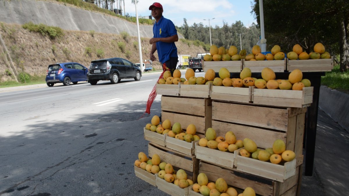 1. Ruta Viva. Esta avenida se ha convertido en el escenario para que diferentes comerciantes oferten los productos.
