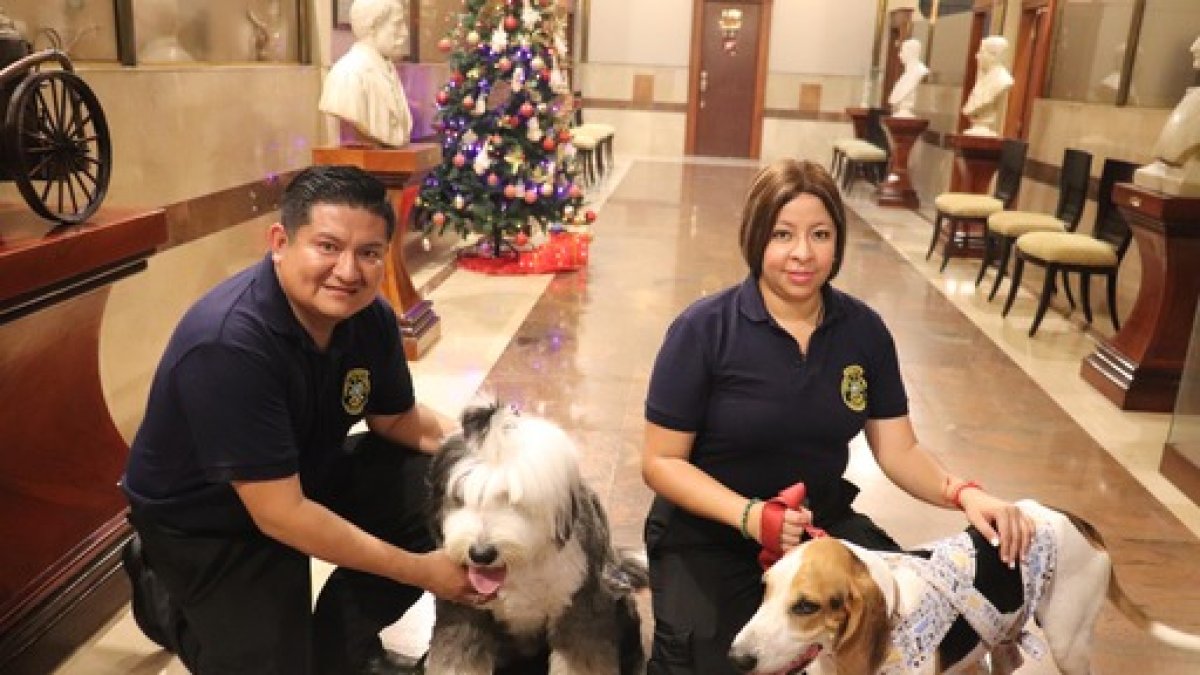 Protección. En la campaña se brindarán consejos para cuidar a las mascota de la pirotecnia.
