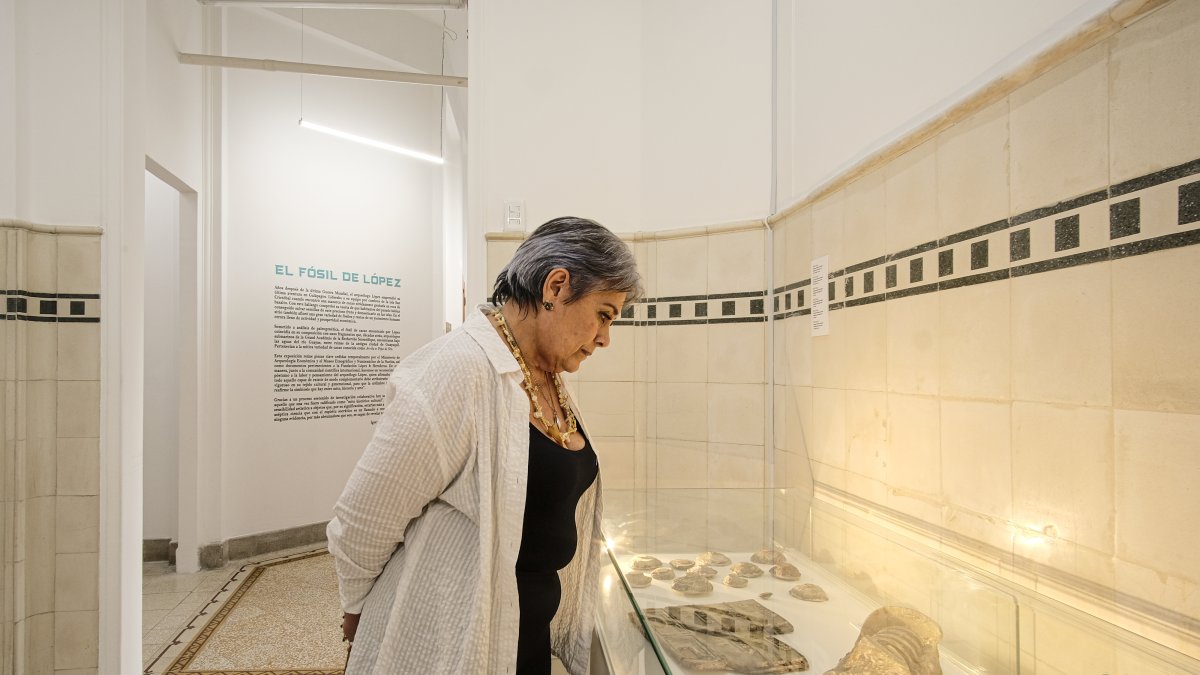 El Museo del Cacao presenta Fósil de López