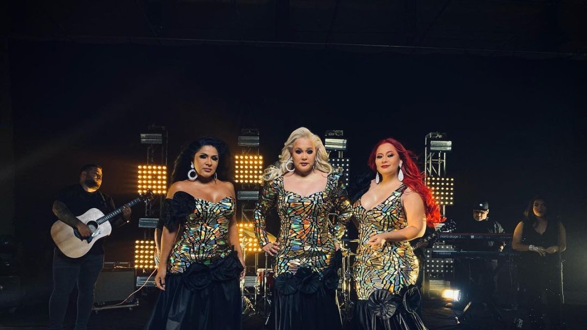 Las Damas de Oro postularon para el concurso.