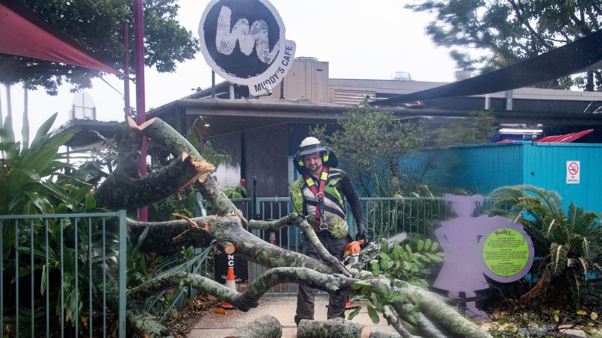 El ciclón tocó tierra en la tarde del miércoles 13 de diciembre de 2023 con categoría 2 en las proximidades de la remota comunidad aborigen de Wujal Wujal.