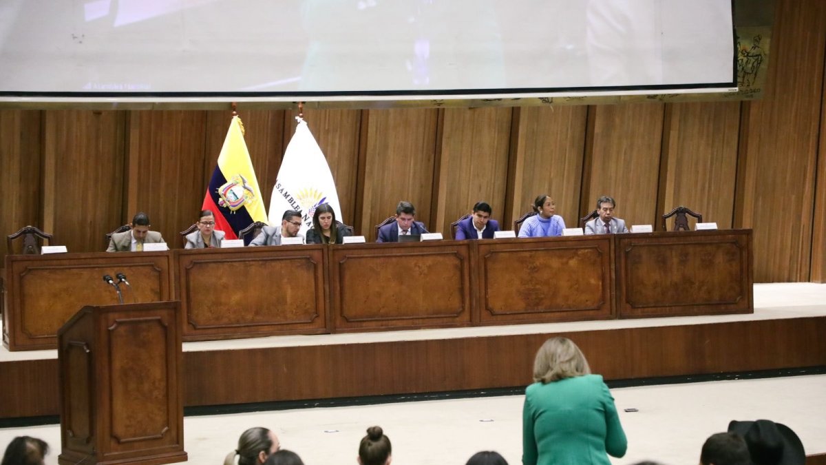 La mesa de Desarrollo Económico integró las observaciones del primer debate del proyecto de ley.