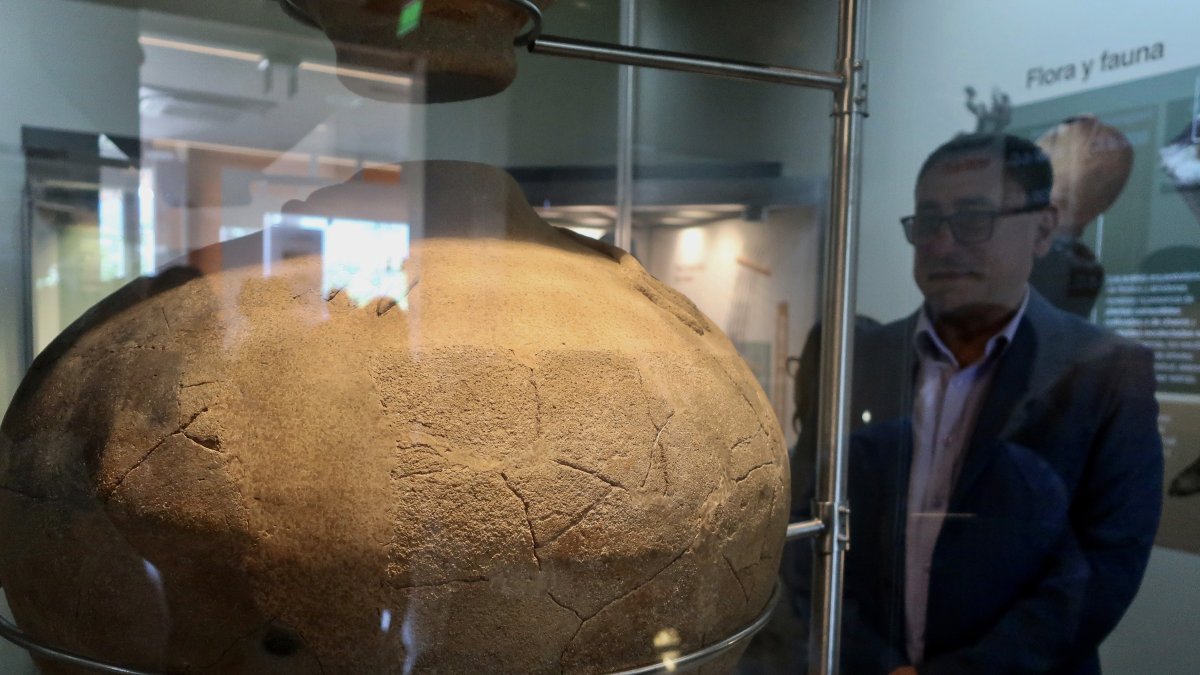 Una persona observa una pieza arqueológica de la cultura Machinaza, que habitó un parte de la Amazonía de Ecuador, el 12 de diciembre del 2023, en Zamora (Ecuador).