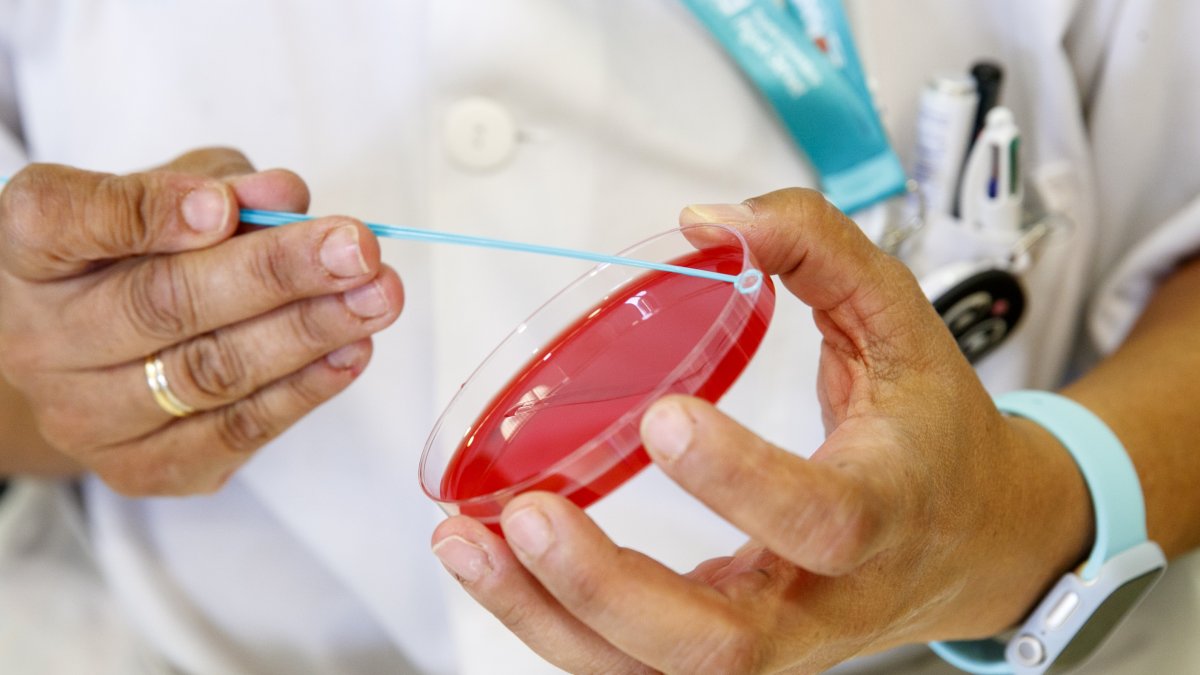 Desarrollan una vacuna que se inhala para prevenir el Covid-19.