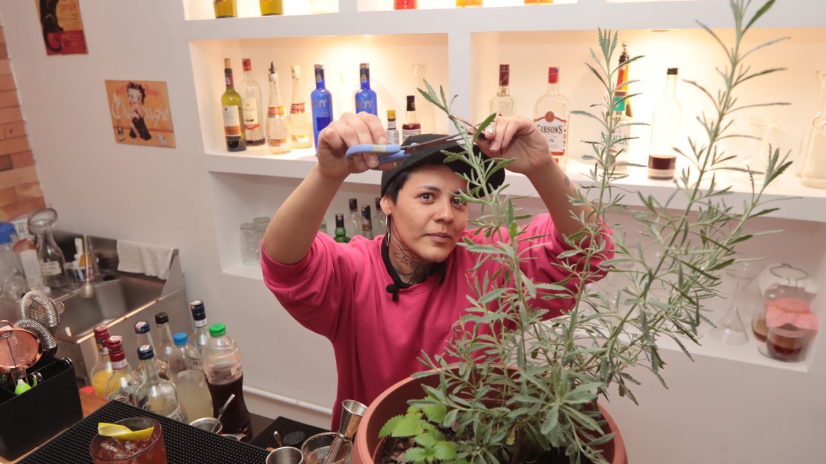 Pasiflora, manzanilla, caléndulas, tomillo, cedrón y lavanda son algunas de las plantas que la barténder y botanista cultiva en el pequeño huerto de ‘Jardina’.