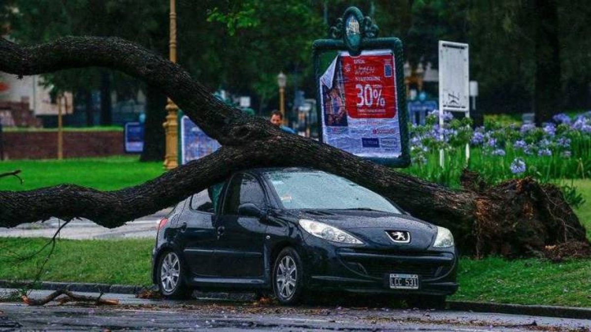 El temporal causó destrozos en varias ciudades de Argentina