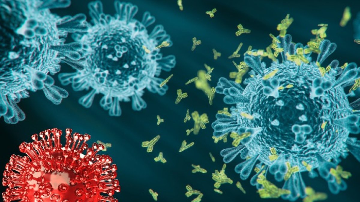 Caso. La nueva variante fue detectada por el Ministerio de Salud Pública, es un paciente que reside Quito.