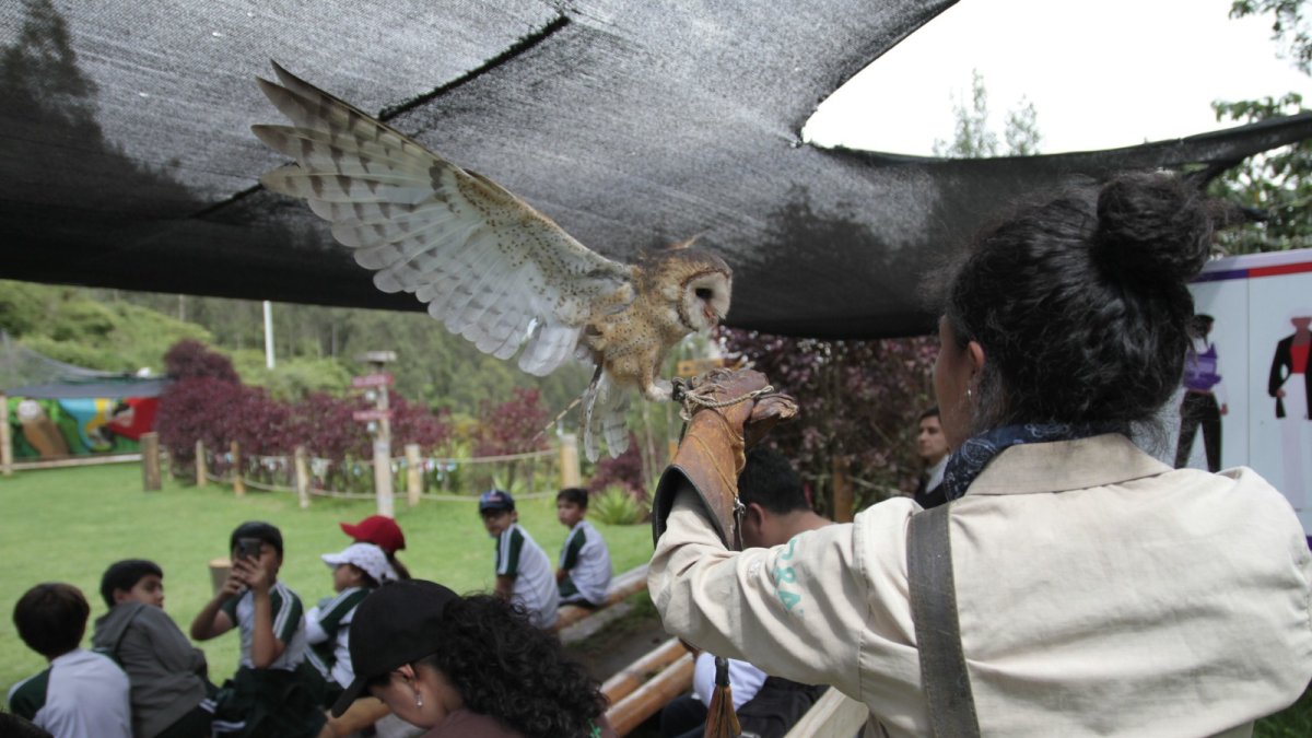Aves que ya no pueden regresar a su hábitat participan de charlas para generar conciencia del daño que causa el tráfico ilegal.
