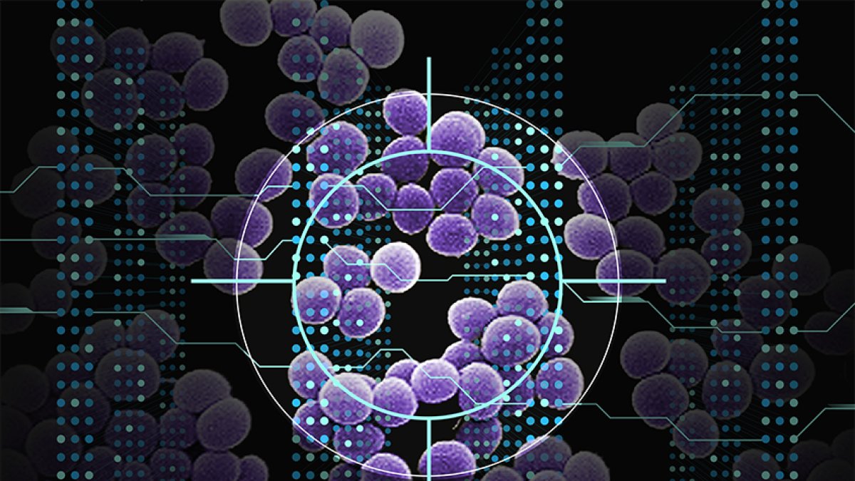 Utilizando I.A., investigadores del MIT han descubierto una clase de compuestos que pueden matar una bacteria resistente a antibióticos, que causa más de 10 mil muertes en EE.UU. anualmente