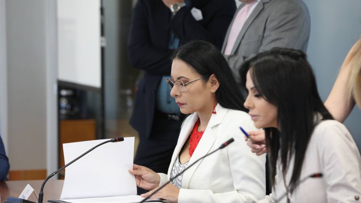 Diana Atamaint pide la máxima sanción para el periodista y cronista Roberto Aguilar.