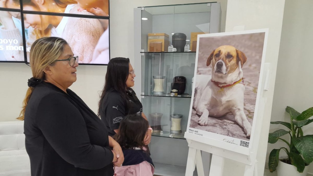 La muestra busca sensibilizar a la gente sobre el rescate de los animales.