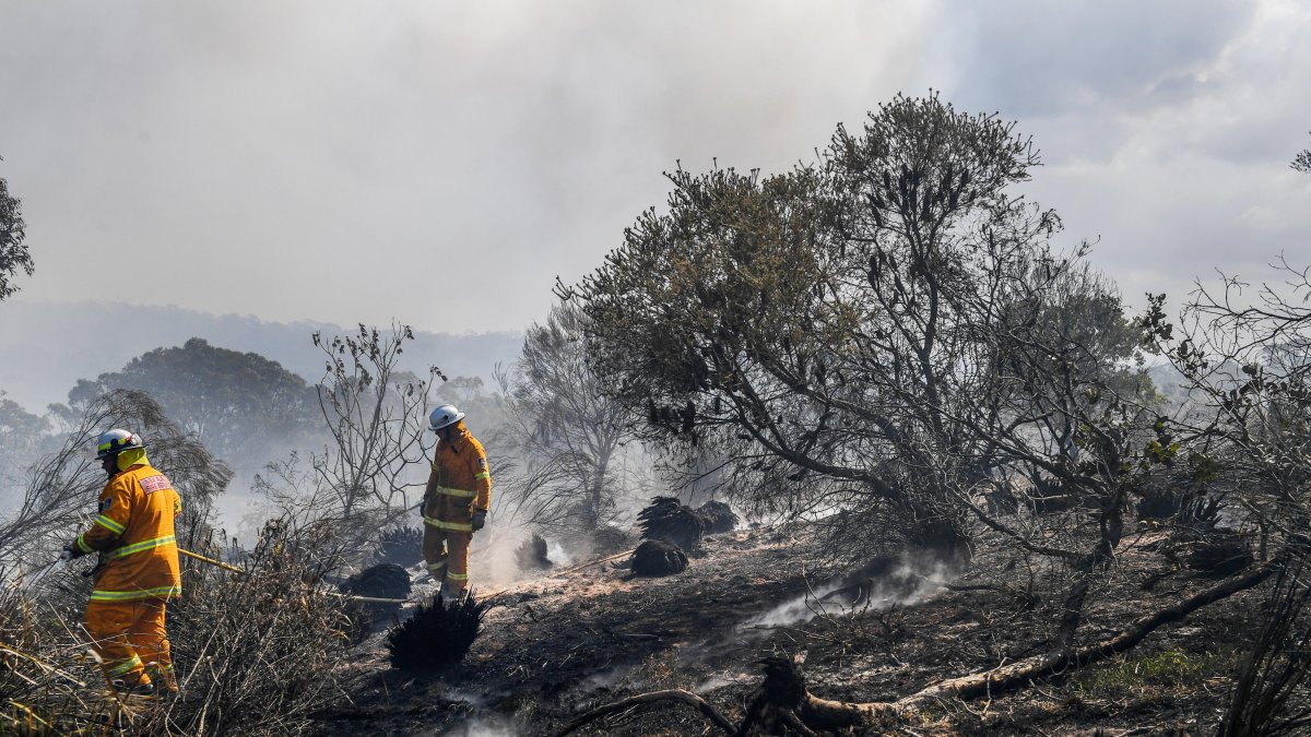 Varios incendios ya se registran en Australia