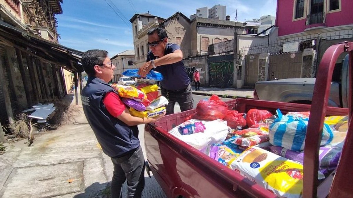 Mecanismo. La Unidad de Bienestar Animal hizo un sorteo para adjudicar los alimentos.