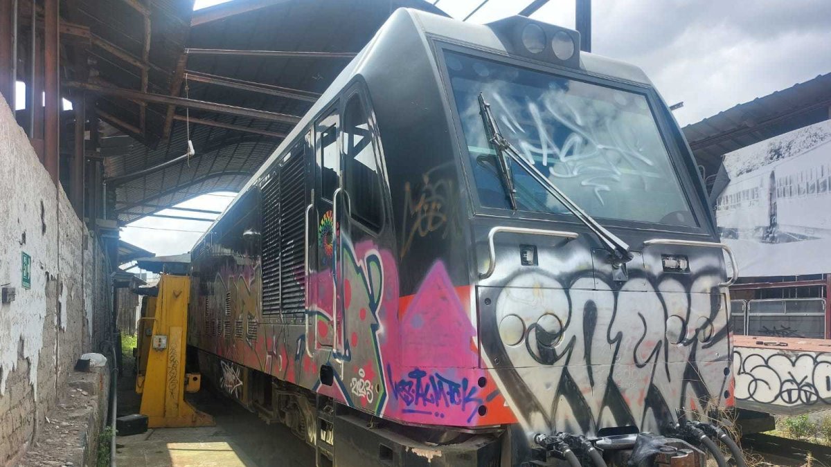 Abandono. Los trenes reposan  grafiteados y vandalizados.