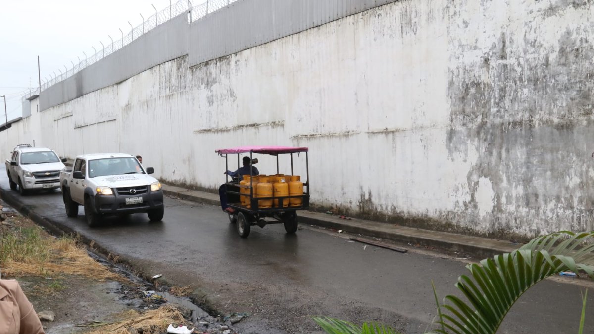 El hallazgo se dio en la cooperativa Assab Bucaram, de la parroquia Pascuales.