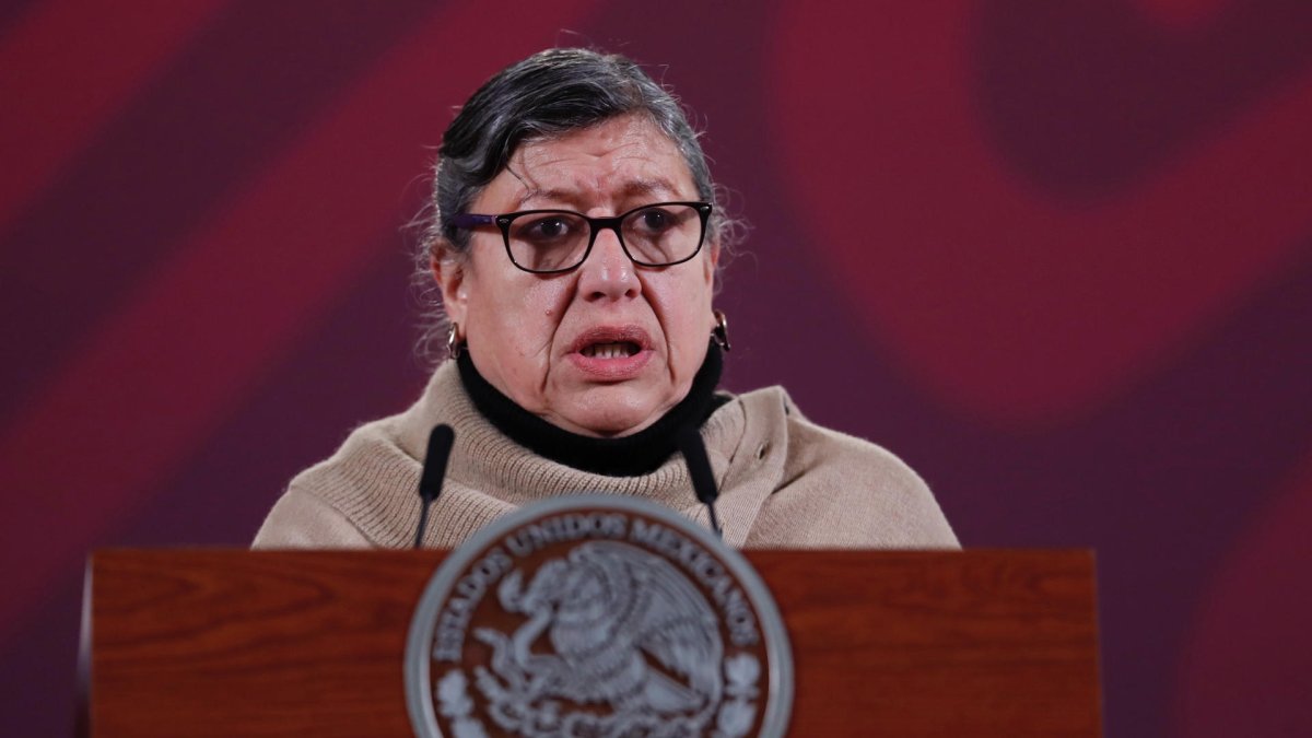 La titular de la Comisión Nacional de Búsqueda (CNB) de México,Teresa Guadalupe Reyes.