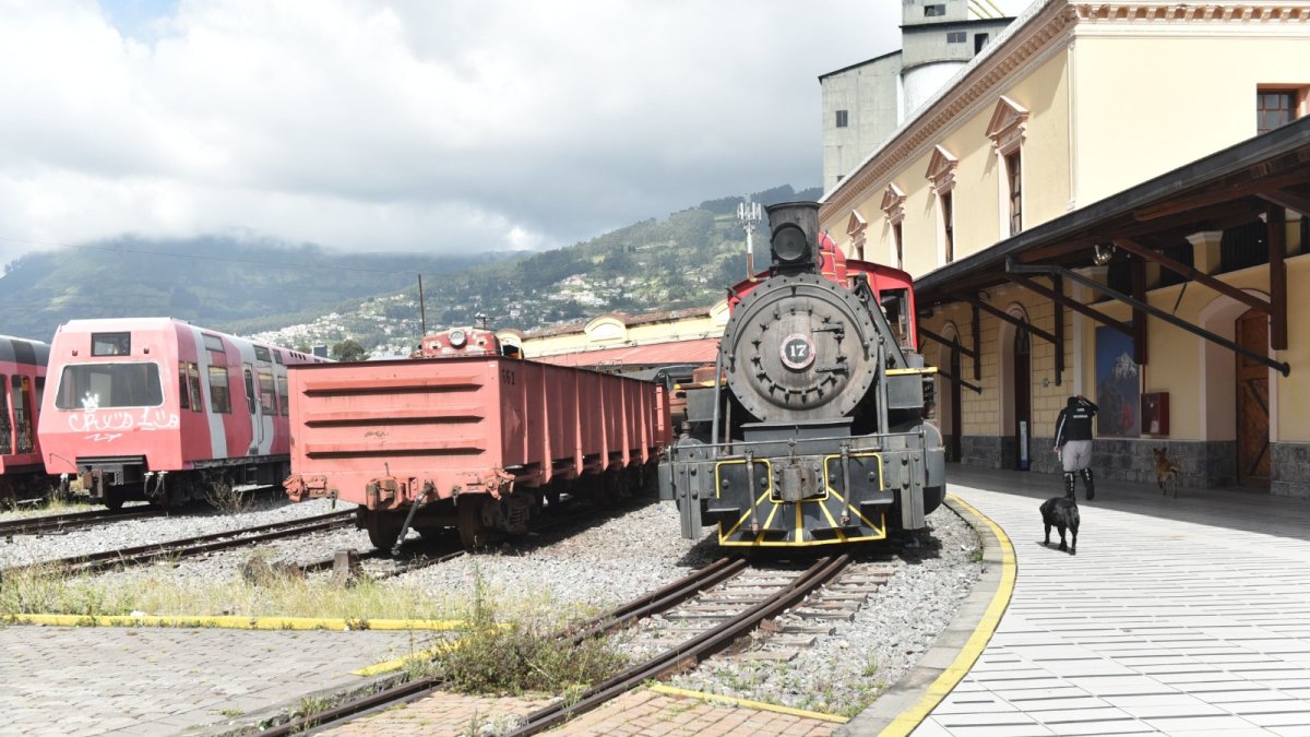 Los vagones están abandonados y vandalizados.