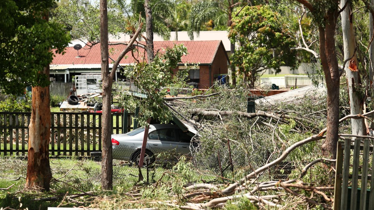 Queensland. Un coche dañado por árboles tras una tormenta.