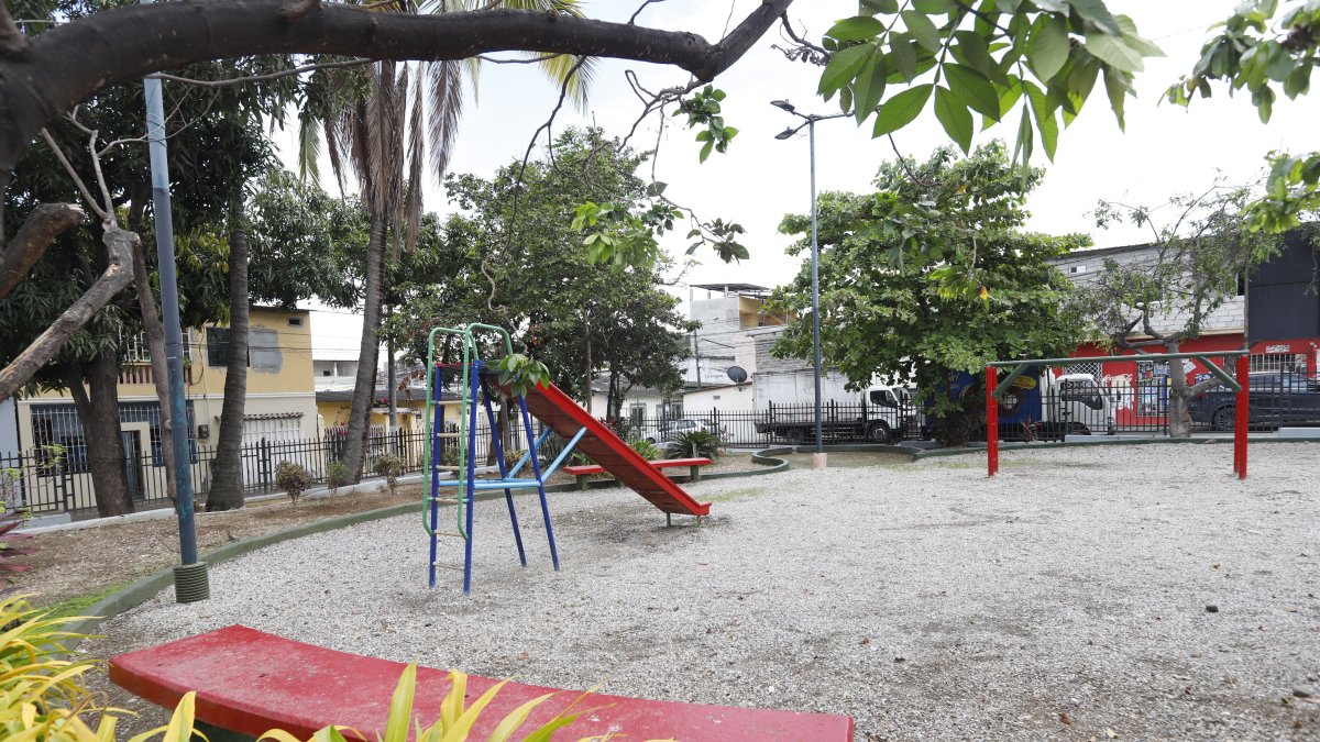 La tragedia sucedió en un parque cercano a la vivienda del menor. Este se ubica a dos cuadras.