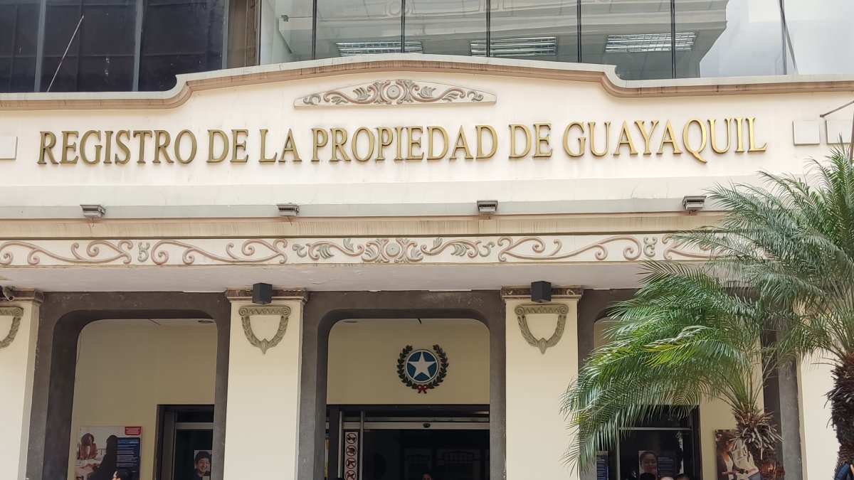 Derecho. El Patrimonio Familiar en Ecuador es reconocido en la Constitución de 1996 en su artículo 33.