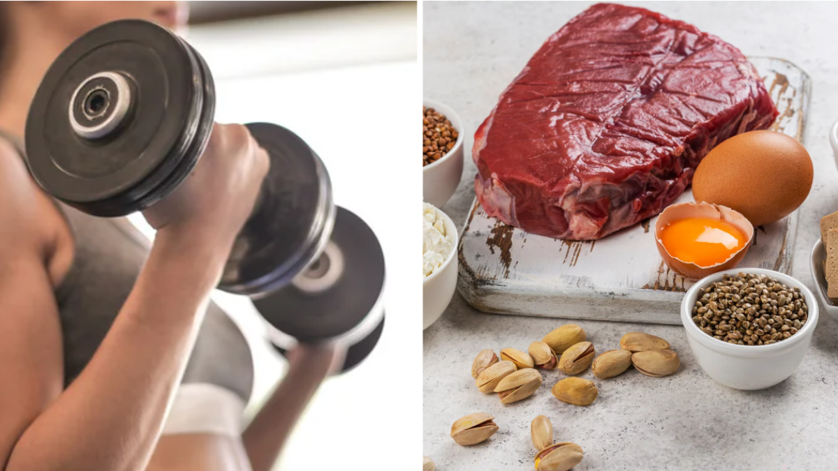 Crecimiento de masa muscular - La relación entre consumo de proteína y ejercicio de resistencia