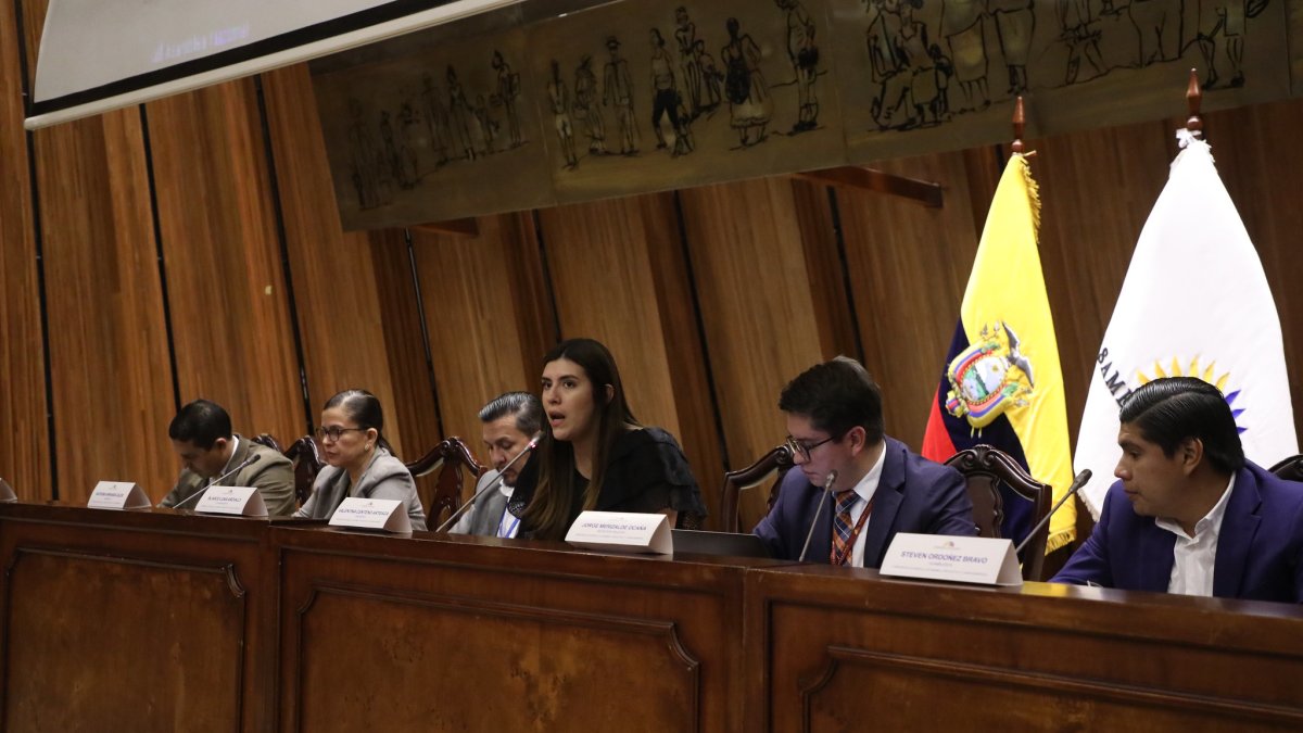 Según Valentina Centeno, más de 100 observaciones se presentaron a la propuesta de ley.