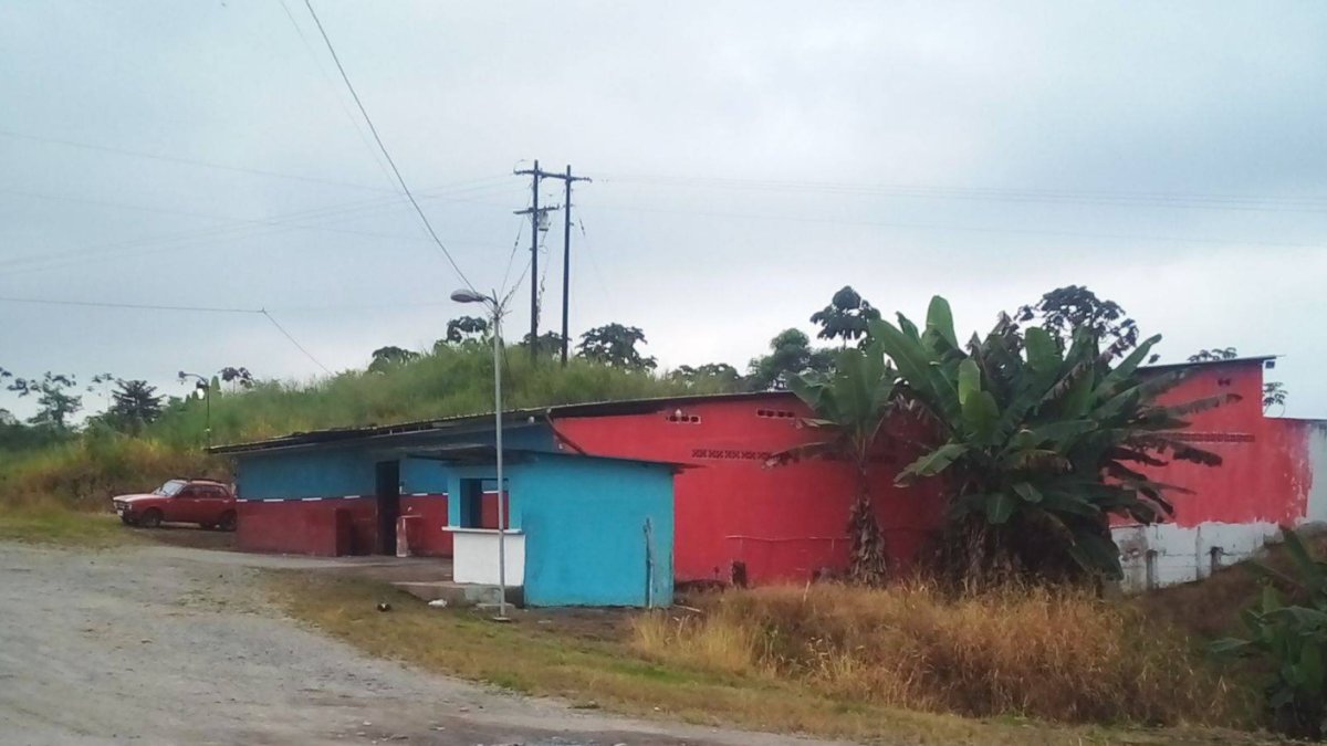 Night club El Trébol