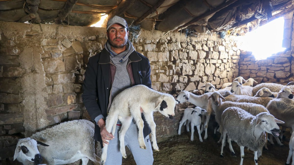 Abdelqader Badaui, agricultor y ganadero del pueblo Oulad Blad, a unos 90 kilómetros al este de Rabat muestra su rebaño en Oulad Blad (Marrueos).