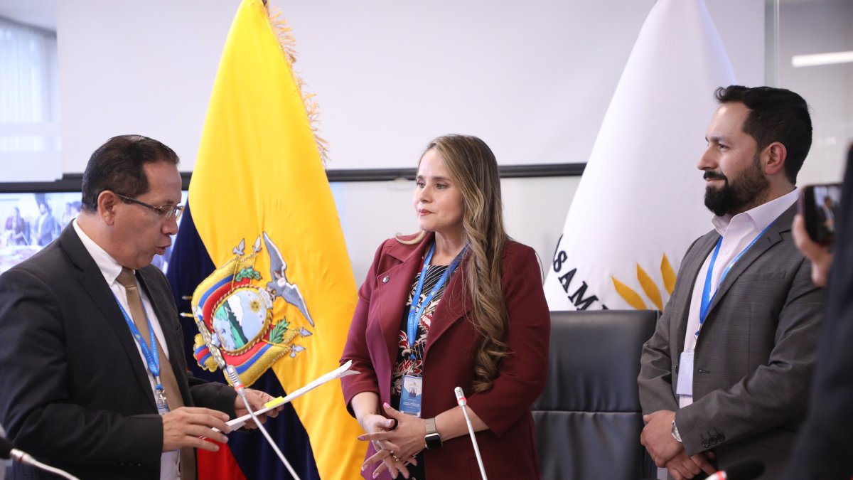 En su primer mes, la comisión ocasional solo ha logrado designar a su presidenta (c) y vicepresidente (d).