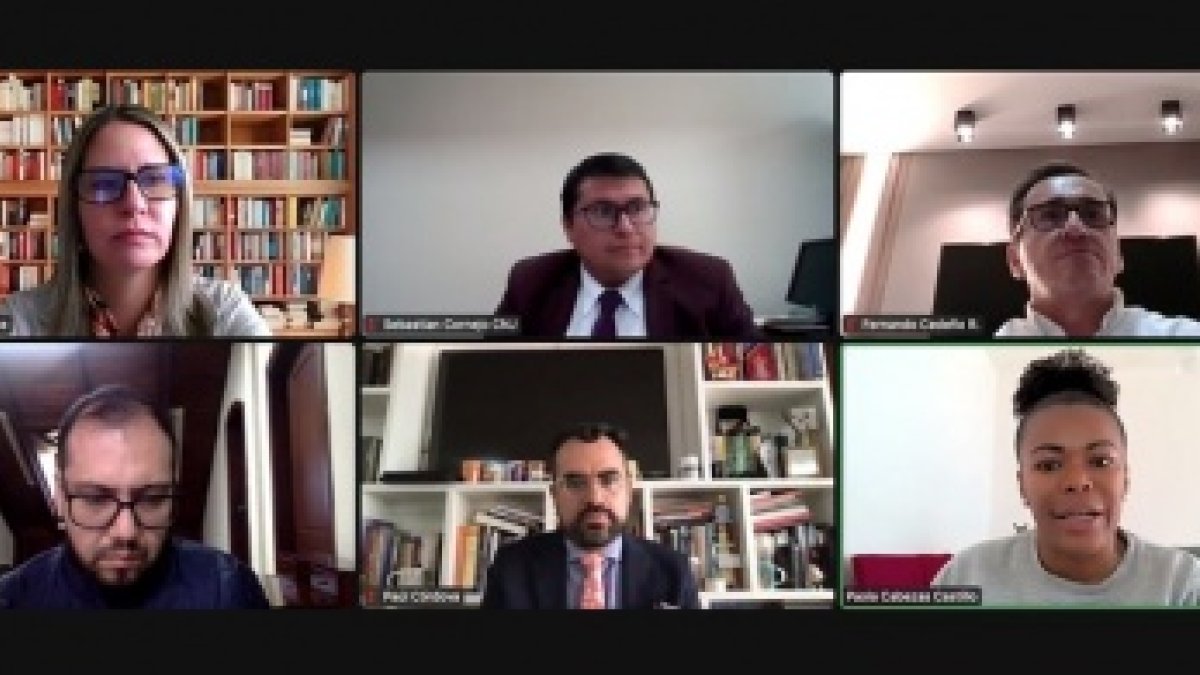 Expertos participaron de forma telemática en la sesión de la Comisión de Justicia.