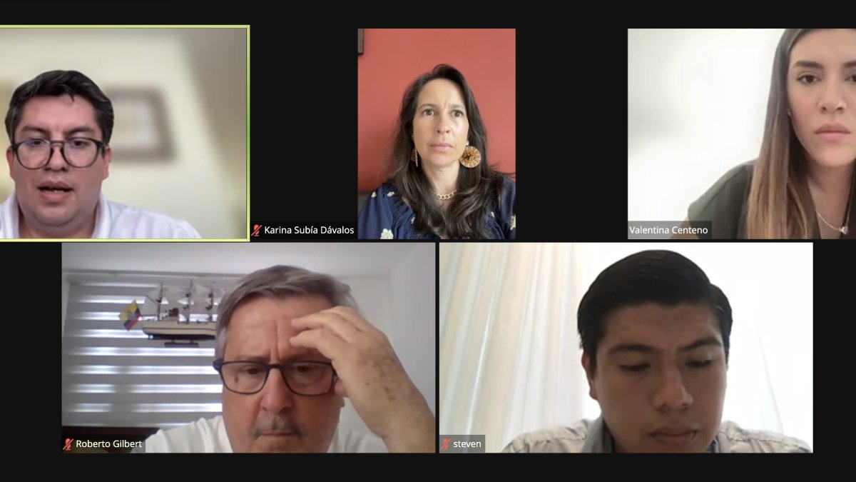 La sesión de la mesa de Desarrollo Económico se desarrolló de manera virtual.