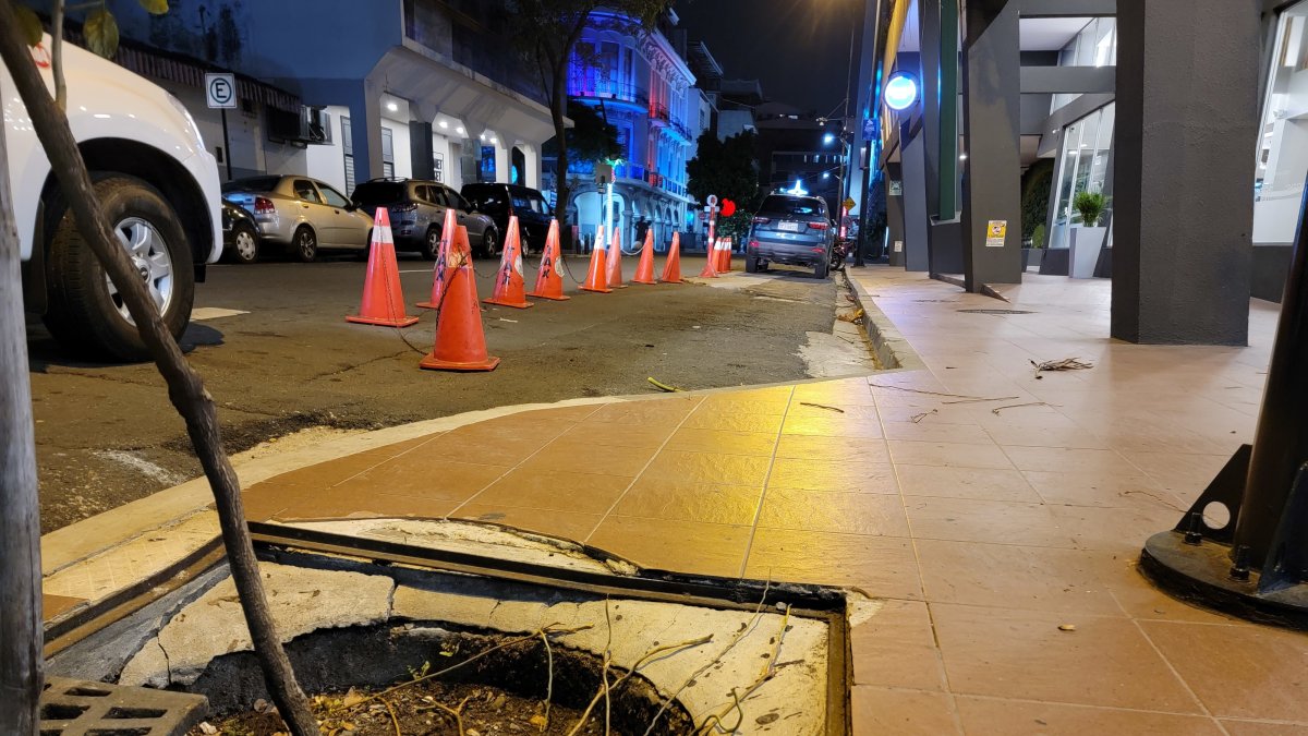 En avenida Malecón e Imbabura se evidencian daños en una jardinera.