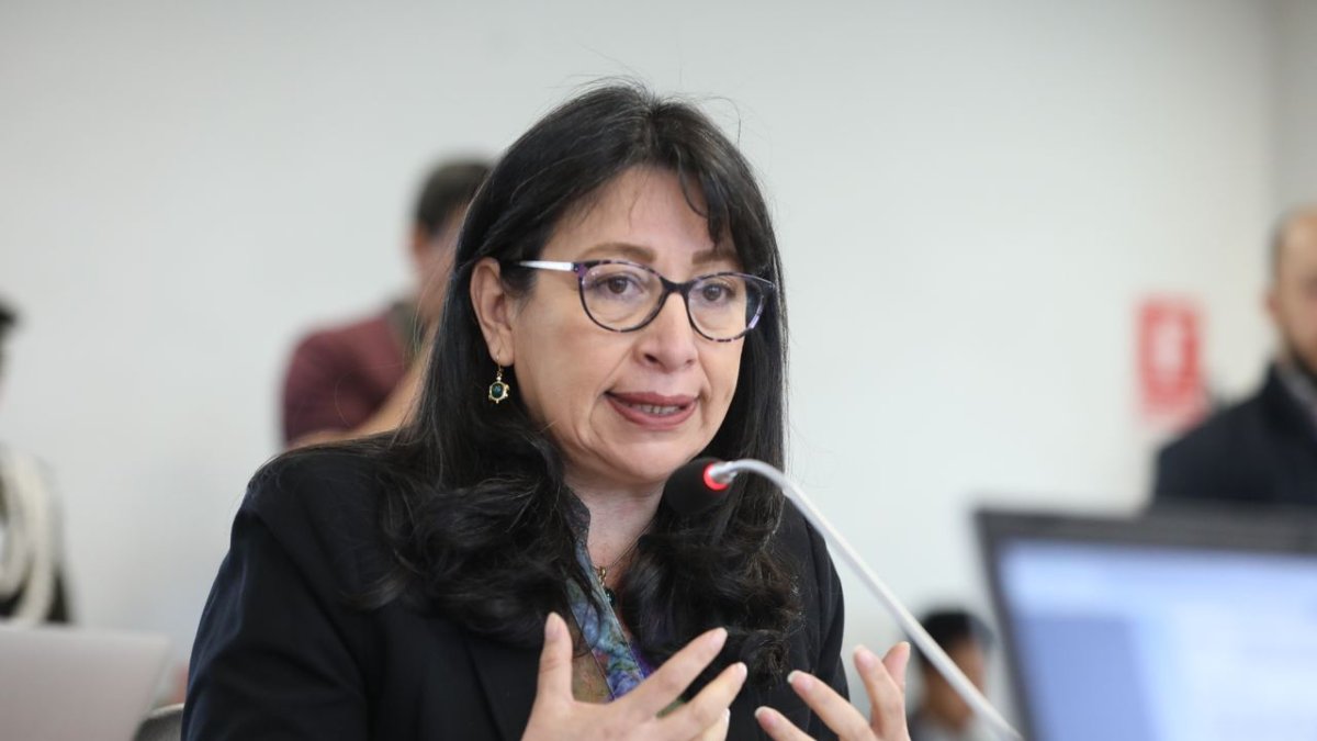 Actividad. La funcionaria del CJ Solanda Goyes, en la Asamblea.