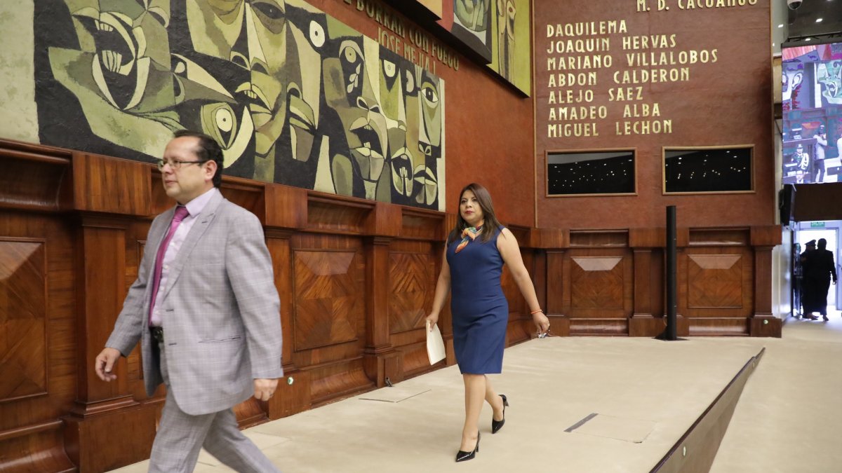 La exlegisadora Rocío Guanoluisa participó de la sesión del pleno en comisión general.