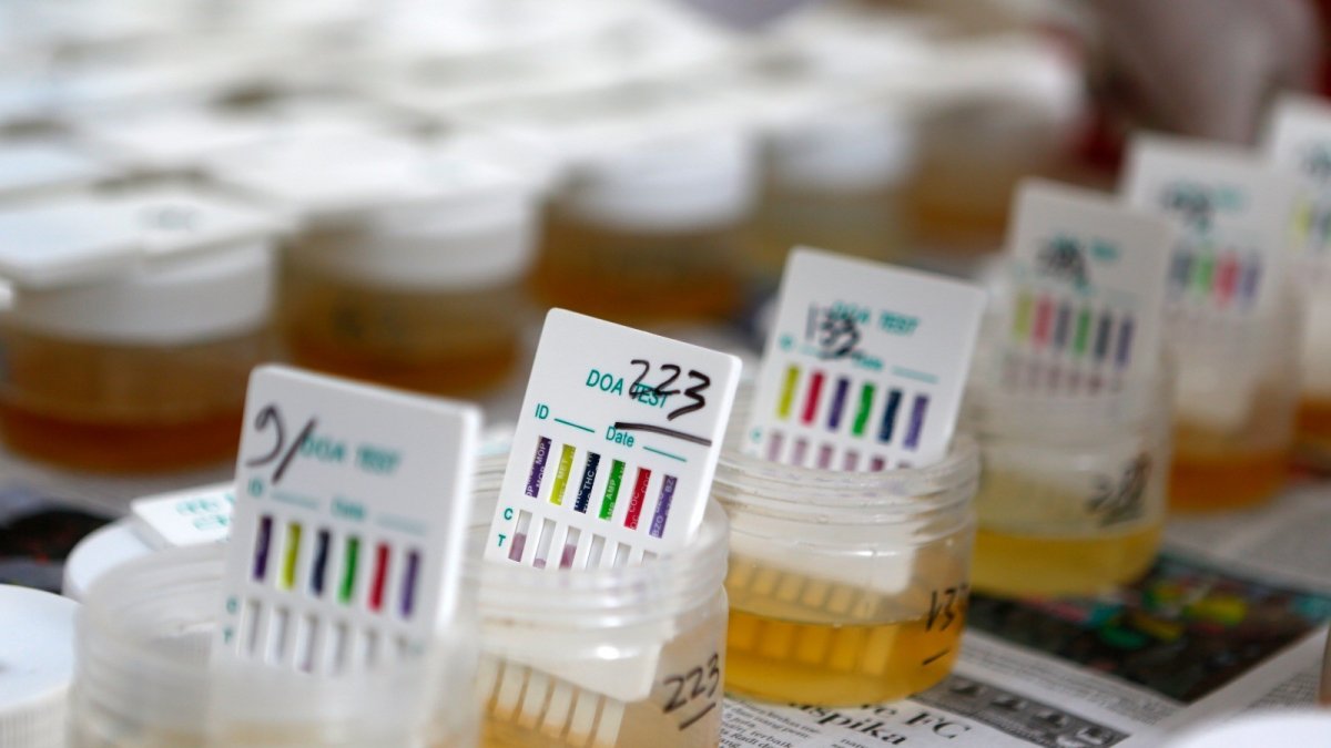 Mejoras. El hallazgo podría ayudar a avanzar en ciertos tratamientos de enfermedades.