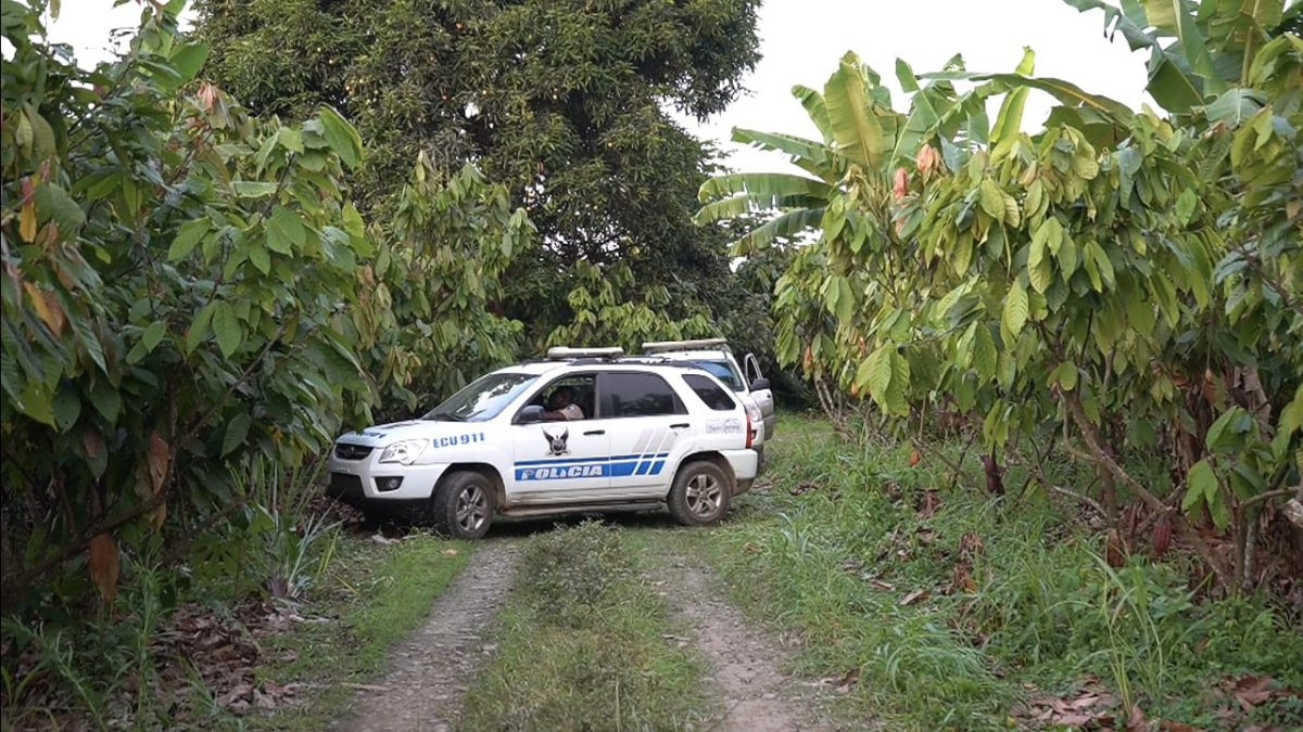 Lugar. Los cuerpos fueron hallados en una zona de difícil acceso, lleno de plantaciones.