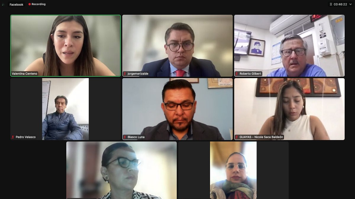 La sesión de la mesa de Desarrollo Económico se realizó de manera telemática.