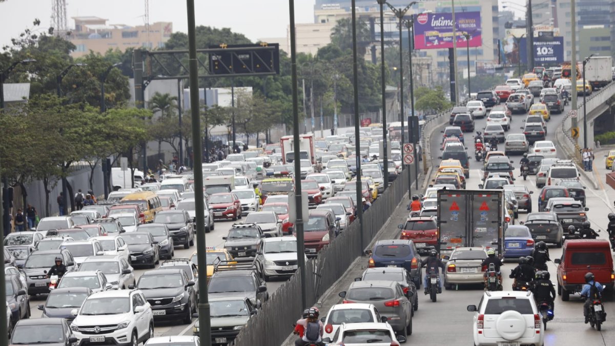 Así permanece en este estado la avenida de Las Américas.