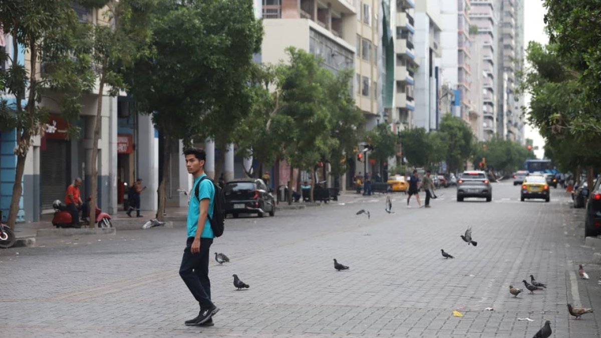 Se observa escasa presencia militar