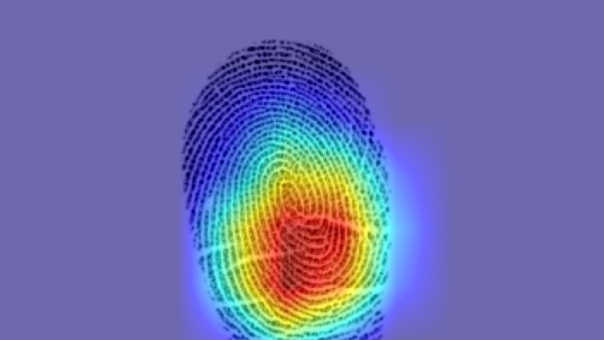 El mapa desarrollado por ingenieros estadounidenses destaca las zonas que contribuyen a la similitud entre las dos huellas dactilares de la misma persona.