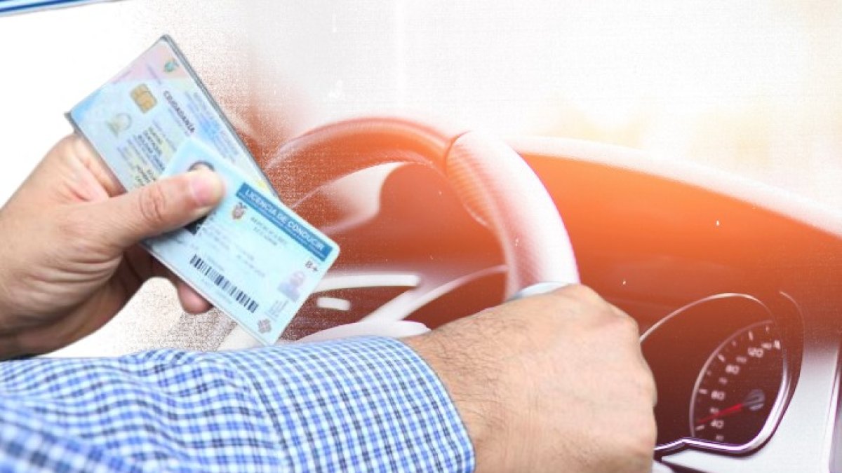 Muchos usuarios no pudieron obtener el documento de tránsito por la suspensión del servicio.