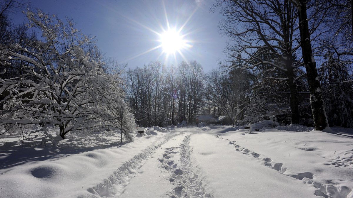 Un manto de nieve en Burke, Virginia, en Estados Unidos.