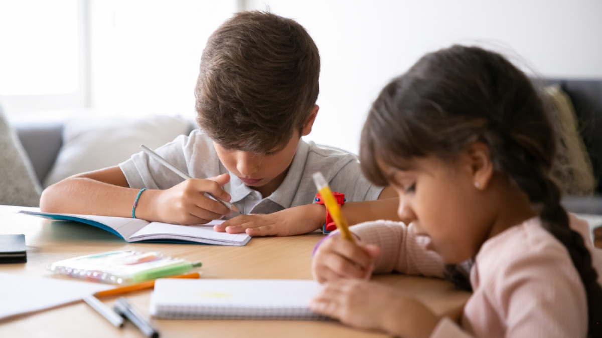 La entidad no ha precisado hasta cuando se mantiene esta modalidad.