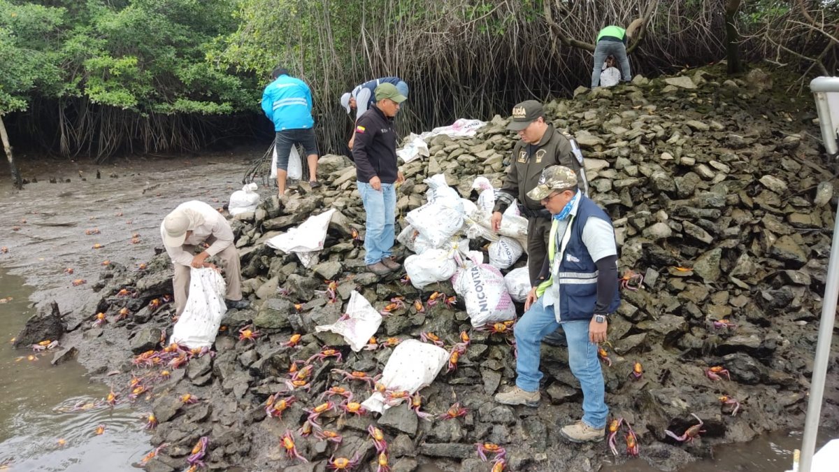Foto referencial. Entre las beneficiarias está una asociación de cangrejeros.