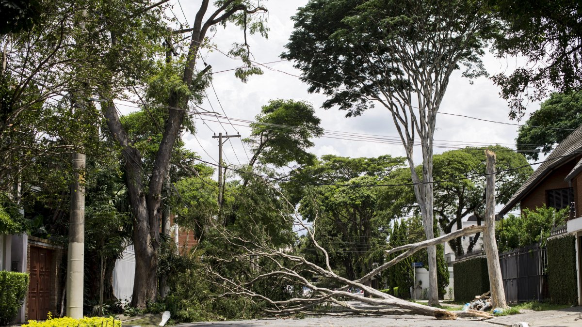 Vista general de una calle bloqueada por árboles caídos en Sao Paulo (Brasil).