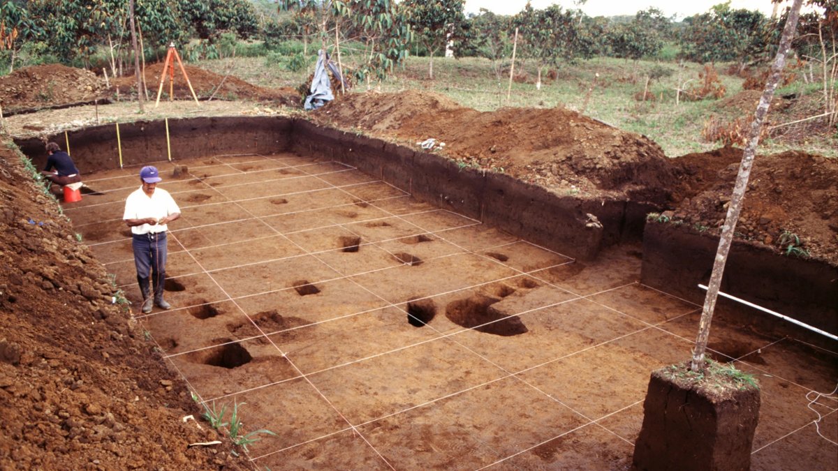 Varias aparecen personas trabajan durante una excavación arqueológica a gran escala en una plataforma de tierra del sitio Sangay en el Valle del Upano en Ecuador.